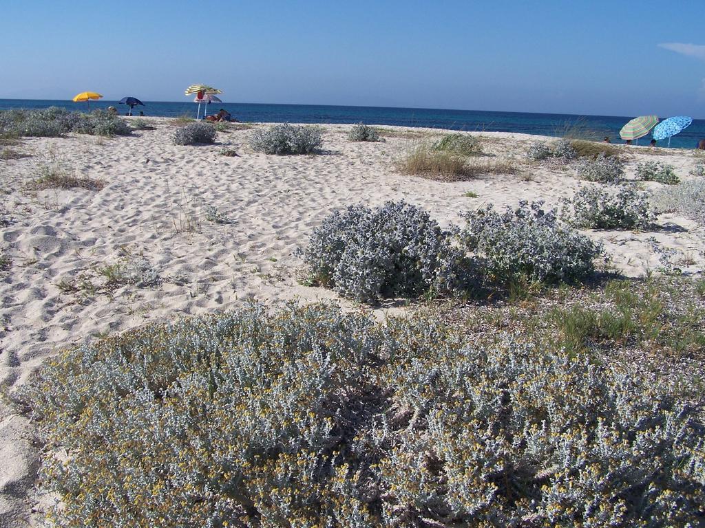 Agriturismo Cuile De Molino بورتو توريس المظهر الخارجي الصورة