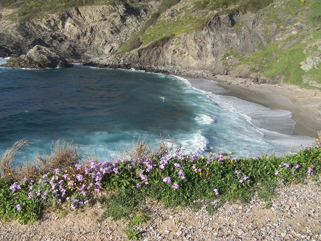 Agriturismo Cuile De Molino بورتو توريس المظهر الخارجي الصورة