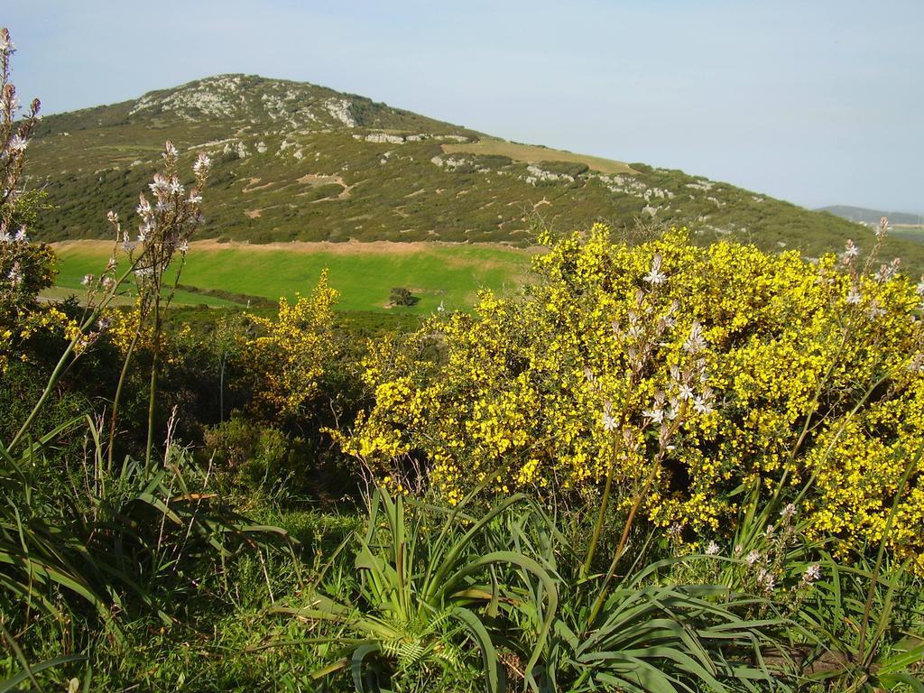 Agriturismo Cuile De Molino بورتو توريس المظهر الخارجي الصورة
