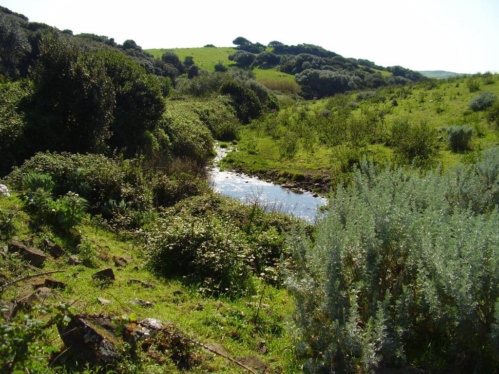 Agriturismo Cuile De Molino بورتو توريس المظهر الخارجي الصورة