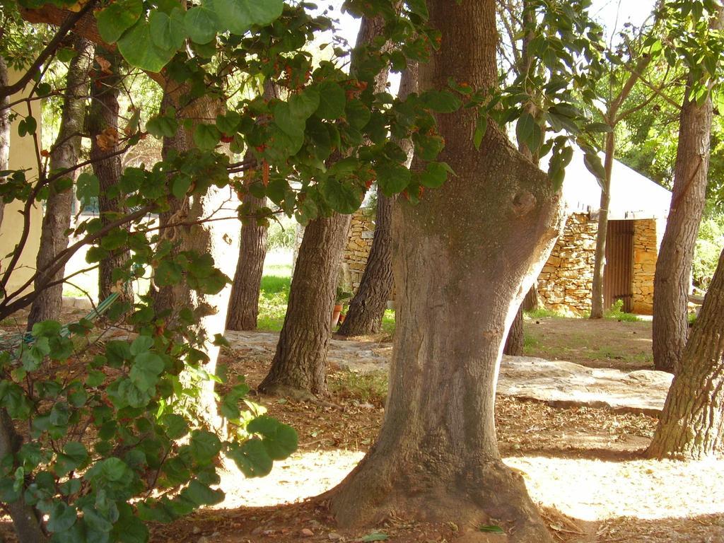 Agriturismo Cuile De Molino بورتو توريس المظهر الخارجي الصورة