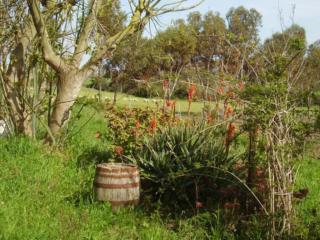 Agriturismo Cuile De Molino بورتو توريس المظهر الخارجي الصورة