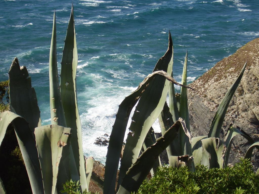 Agriturismo Cuile De Molino بورتو توريس المظهر الخارجي الصورة
